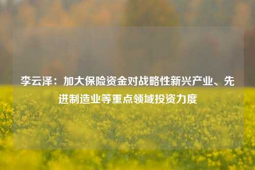 李云泽：加大保险资金对战略性新兴产业、先进制造业等重点领域投资力度