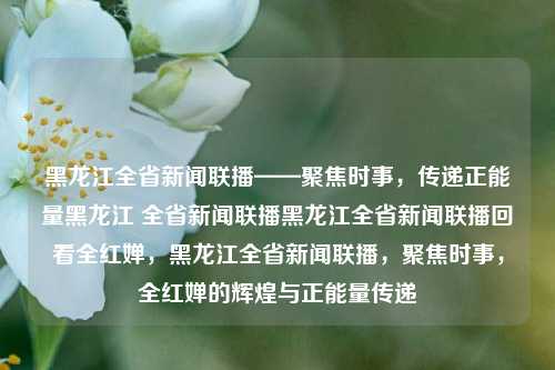 黑龙江全省新闻联播——聚焦时事，传递正能量黑龙江 全省新闻联播黑龙江全省新闻联播回看全红婵，黑龙江全省新闻联播，聚焦时事，全红婵的辉煌与正能量传递，黑龙江全省新闻联播，聚焦时事，全红婵的辉煌与正能量传递