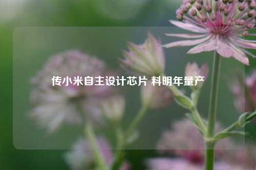 传小米自主设计芯片 料明年量产