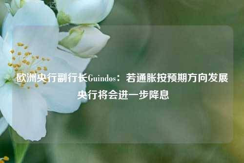 欧洲央行副行长Guindos：若通胀按预期方向发展 央行将会进一步降息