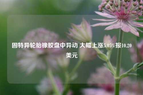 固特异轮胎橡胶盘中异动 大幅上涨5.05%报10.20美元