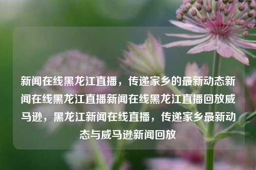 新闻在线黑龙江直播，传递家乡的最新动态新闻在线黑龙江直播新闻在线黑龙江直播回放威马逊，黑龙江新闻在线直播，传递家乡最新动态与威马逊新闻回放，黑龙江新闻在线直播，传递家乡最新动态与威马逊新闻回放