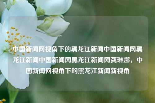 中国新闻网视角下的黑龙江新闻中国新闻网黑龙江新闻中国新闻网黑龙江新闻网龚琳娜，中国新闻网视角下的黑龙江新闻新视角，中国新闻网视角下的黑龙江新闻新观察