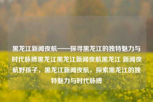 黑龙江新闻夜航——探寻黑龙江的独特魅力与时代脉搏黑龙江黑龙江新闻夜航黑龙江 新闻夜航野孩子，黑龙江新闻夜航，探索黑龙江的独特魅力与时代脉搏，黑龙江新闻夜航，揭示黑龙江的多元魅力与时代发展脉搏