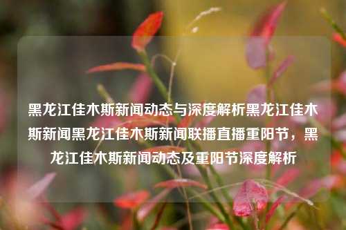 黑龙江佳木斯新闻动态与深度解析黑龙江佳木斯新闻黑龙江佳木斯新闻联播直播重阳节，黑龙江佳木斯新闻动态及重阳节深度解析，佳木斯新闻动态与重阳节深度解析，新闻联播直播及佳木斯新闻动态概览