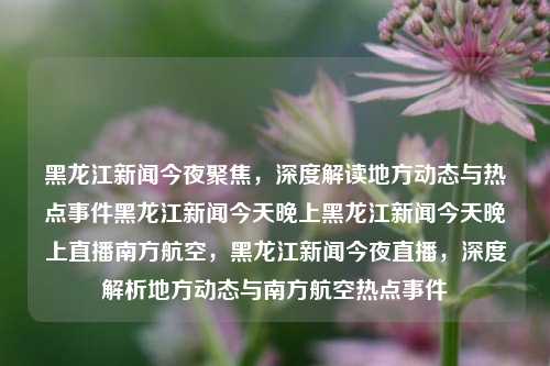 黑龙江新闻今夜聚焦，深度解读地方动态与热点事件黑龙江新闻今天晚上黑龙江新闻今天晚上直播南方航空，黑龙江新闻今夜直播，深度解析地方动态与南方航空热点事件，黑龙江新闻今夜直播，深度解析地方动态与南方航空热点事件