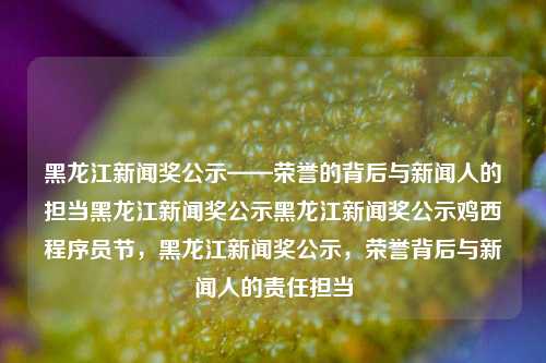 黑龙江新闻奖公示——荣誉的背后与新闻人的担当黑龙江新闻奖公示黑龙江新闻奖公示鸡西程序员节，黑龙江新闻奖公示，荣誉背后与新闻人的责任担当，黑龙江新闻奖公示，荣誉背后与新闻人的责任担当