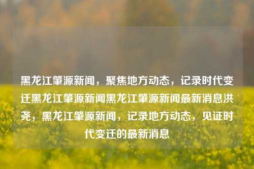 黑龙江肇源新闻，聚焦地方动态，记录时代变迁黑龙江肇源新闻黑龙江肇源新闻最新消息洪尧，黑龙江肇源新闻，记录地方动态，见证时代变迁的最新消息，黑龙江肇源新闻，记录地方动态，见证时代变迁的最新消息