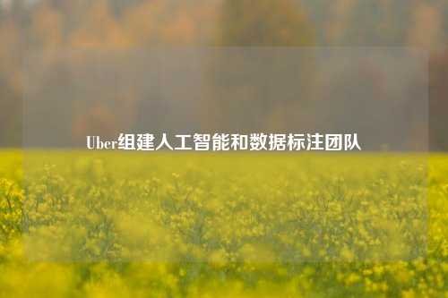 Uber组建人工智能和数据标注团队