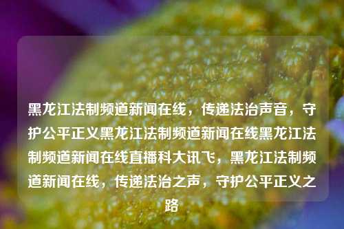 黑龙江法制频道新闻在线，传递法治声音，守护公平正义黑龙江法制频道新闻在线黑龙江法制频道新闻在线直播科大讯飞，黑龙江法制频道新闻在线，传递法治之声，守护公平正义之路，黑龙江法制频道新闻在线，传递法治之声，守护正义之路