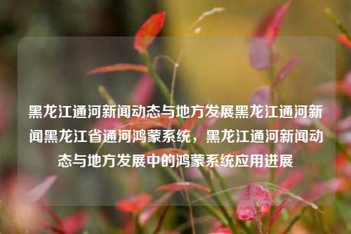 黑龙江通河新闻动态与地方发展黑龙江通河新闻黑龙江省通河鸿蒙系统，黑龙江通河新闻动态与地方发展中的鸿蒙系统应用进展，黑龙江通河新闻动态与地方发展中的鸿蒙系统应用进展