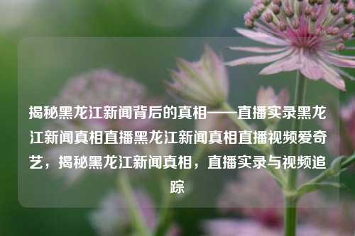 揭秘黑龙江新闻背后的真相——直播实录黑龙江新闻真相直播黑龙江新闻真相直播视频爱奇艺，揭秘黑龙江新闻真相，直播实录与视频追踪，黑龙江新闻真相揭秘——直播实录与视频追踪