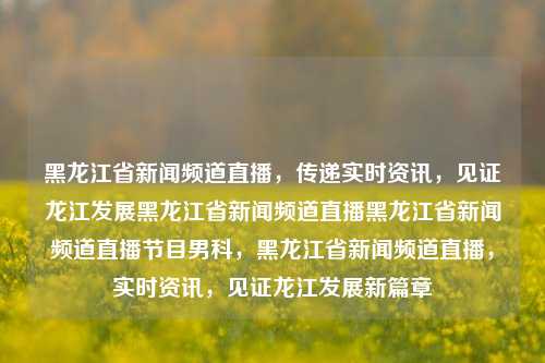 黑龙江省新闻频道直播，传递实时资讯，见证龙江发展黑龙江省新闻频道直播黑龙江省新闻频道直播节目男科，黑龙江省新闻频道直播，实时资讯，见证龙江发展新篇章，黑龙江新闻频道直播，实时资讯，见证龙江发展新篇章