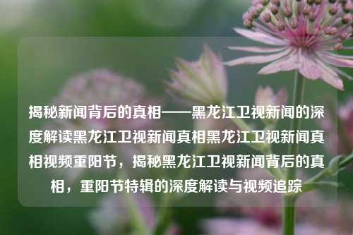 揭秘新闻背后的真相——黑龙江卫视新闻的深度解读黑龙江卫视新闻真相黑龙江卫视新闻真相视频重阳节，揭秘黑龙江卫视新闻背后的真相，重阳节特辑的深度解读与视频追踪，重阳节特辑，深度解读与视频追踪黑龙江卫视新闻背后的真相