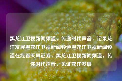 黑龙江卫视新闻频道，传递时代声音，记录龙江发展黑龙江卫视新闻频道黑龙江卫视新闻频道在线看天风证券，黑龙江卫视新闻频道，传递时代声音，见证龙江发展，黑龙江卫视新闻频道，时代声音的传递者，龙江发展的见证者