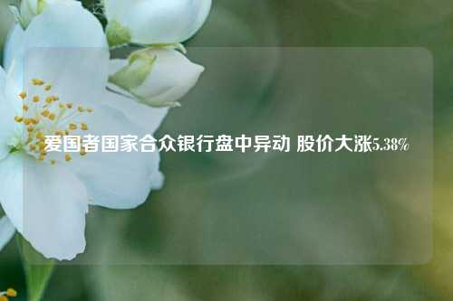 爱国者国家合众银行盘中异动 股价大涨5.38%