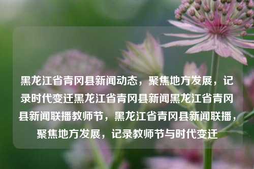 黑龙江省青冈县新闻动态，聚焦地方发展，记录时代变迁黑龙江省青冈县新闻黑龙江省青冈县新闻联播教师节，黑龙江省青冈县新闻联播，聚焦地方发展，记录教师节与时代变迁，黑龙江省青冈县新闻联播，聚焦地方发展，记录教师节与时代变迁的足迹