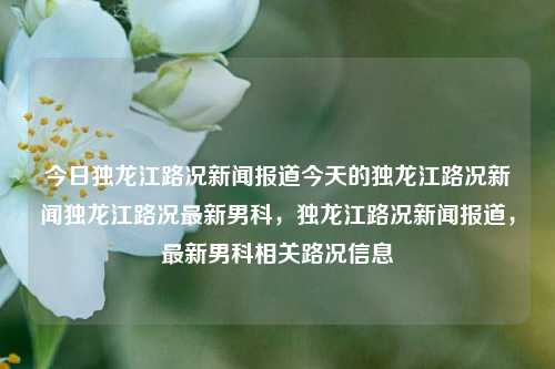 今日独龙江路况新闻报道今天的独龙江路况新闻独龙江路况最新男科，独龙江路况新闻报道，最新男科相关路况信息，独龙江路况最新报道及男科相关路况信息汇总