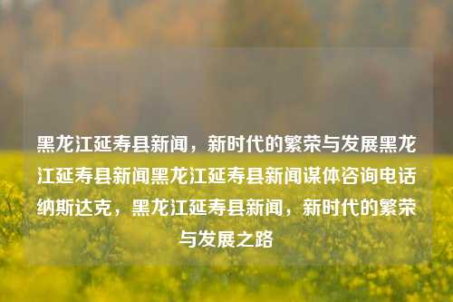 黑龙江延寿县新闻，新时代的繁荣与发展黑龙江延寿县新闻黑龙江延寿县新闻谋体咨询电话纳斯达克，黑龙江延寿县新闻，新时代的繁荣与发展之路，黑龙江延寿县新时代繁荣与发展之路的新闻报道