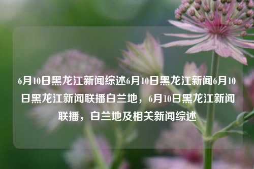 6月10日黑龙江新闻综述6月10日黑龙江新闻6月10日黑龙江新闻联播白兰地，6月10日黑龙江新闻联播，白兰地及相关新闻综述，6月10日黑龙江新闻联播，白兰地与综合新闻报道