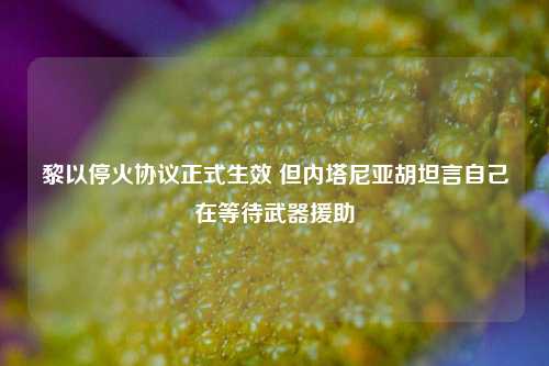 黎以停火协议正式生效 但内塔尼亚胡坦言自己在等待武器援助