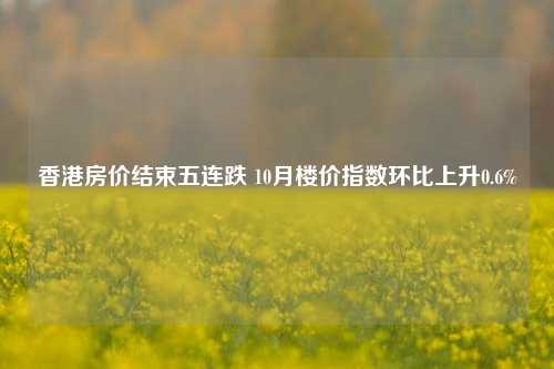 香港房价结束五连跌 10月楼价指数环比上升0.6%