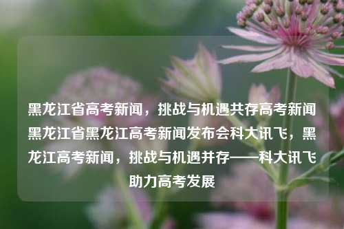 黑龙江省高考新闻，挑战与机遇共存高考新闻黑龙江省黑龙江高考新闻发布会科大讯飞，黑龙江高考新闻，挑战与机遇并存——科大讯飞助力高考发展，黑龙江高考新闻，挑战与机遇并存，科大讯飞助力高考发展