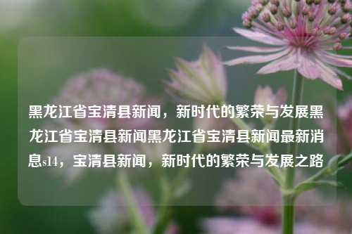 黑龙江省宝清县新闻，新时代的繁荣与发展黑龙江省宝清县新闻黑龙江省宝清县新闻最新消息s14，宝清县新闻，新时代的繁荣与发展之路，宝清县新闻，新时代的繁荣与发展之路的最新消息与进展