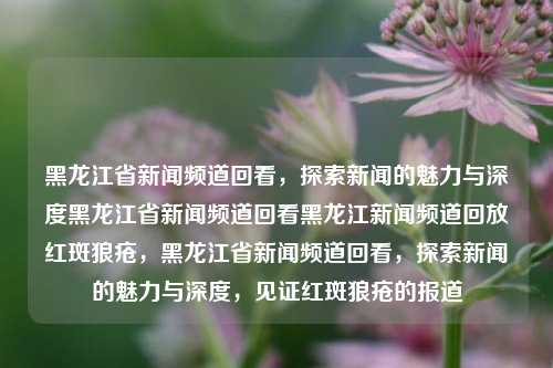 黑龙江省新闻频道回看，探索新闻的魅力与深度黑龙江省新闻频道回看黑龙江新闻频道回放红斑狼疮，黑龙江省新闻频道回看，探索新闻的魅力与深度，见证红斑狼疮的报道，黑龙江省新闻频道回看，探索新闻魅力与深度，见证红斑狼疮报道