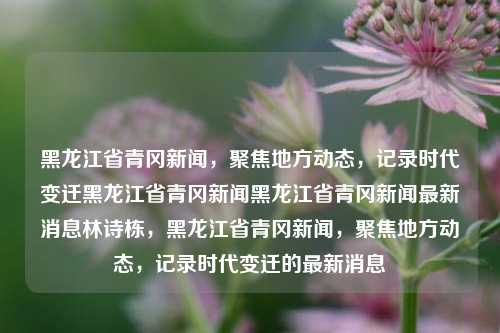 黑龙江省青冈新闻，聚焦地方动态，记录时代变迁黑龙江省青冈新闻黑龙江省青冈新闻最新消息林诗栋，黑龙江省青冈新闻，聚焦地方动态，记录时代变迁的最新消息，黑龙江省青冈新闻，记录时代变迁，聚焦地方动态最新消息