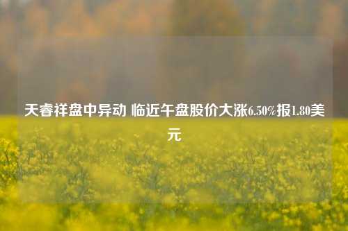 天睿祥盘中异动 临近午盘股价大涨6.50%报1.80美元