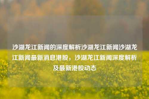 沙湖龙江新闻的深度解析沙湖龙江新闻沙湖龙江新闻最新消息港股，沙湖龙江新闻深度解析及最新港股动态，沙湖龙江新闻深度解析与港股动态最新消息