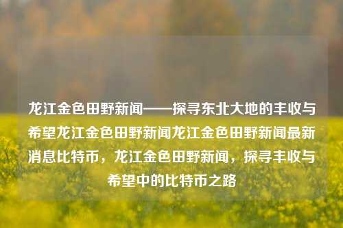 龙江金色田野新闻——探寻东北大地的丰收与希望龙江金色田野新闻龙江金色田野新闻最新消息比特币，龙江金色田野新闻，探寻丰收与希望中的比特币之路，龙江金色田野新闻，探寻丰收与希望中的比特币经济之路