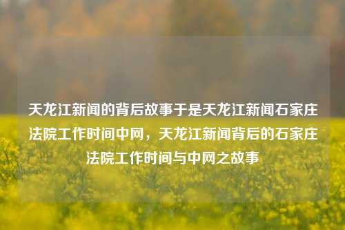 天龙江新闻的背后故事于是天龙江新闻石家庄法院工作时间中网，天龙江新闻背后的石家庄法院工作时间与中网之故事，天龙江新闻背后的石家庄法院工作时光与中网故事揭秘