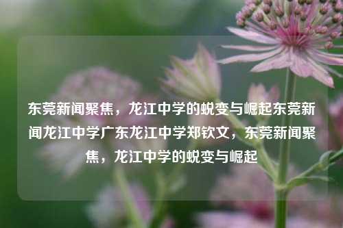 东莞新闻聚焦，龙江中学的蜕变与崛起东莞新闻龙江中学广东龙江中学郑钦文，东莞新闻聚焦，龙江中学的蜕变与崛起，东莞新闻，龙江中学的蜕变与崛起之路