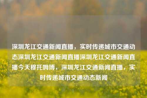 深圳龙江交通新闻直播，实时传递城市交通动态深圳龙江交通新闻直播深圳龙江交通新闻直播今天穆托姆博，深圳龙江交通新闻直播，实时传递城市交通动态新闻，深圳龙江交通新闻直播，实时传递城市交通动态新闻，见证交通发展新篇章