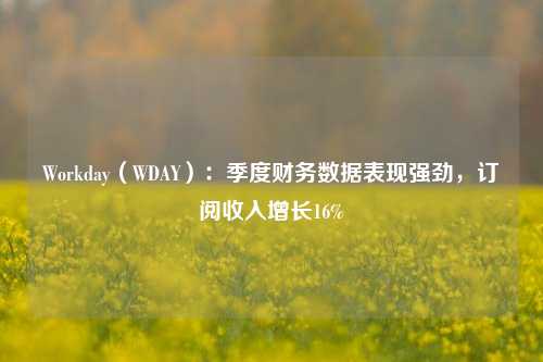 Workday（WDAY）：季度财务数据表现强劲，订阅收入增长16%