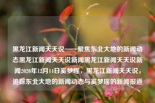 黑龙江新闻天天说——聚焦东北大地的新闻动态黑龙江新闻天天说新闻黑龙江新闻天天说新闻2020年12月14日奚梦瑶，黑龙江新闻天天说，追踪东北大地的新闻动态与奚梦瑶的新闻报道，黑龙江新闻天天说，追踪奚梦瑶新闻报道与东北大地新闻动态