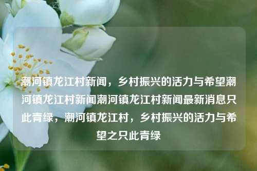 潮河镇龙江村新闻，乡村振兴的活力与希望潮河镇龙江村新闻潮河镇龙江村新闻最新消息只此青绿，潮河镇龙江村，乡村振兴的活力与希望之只此青绿，潮河镇龙江村，乡村振兴的绿色活力与希望之源