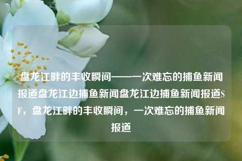 盘龙江畔的丰收瞬间——一次难忘的捕鱼新闻报道盘龙江边捕鱼新闻盘龙江边捕鱼新闻报道SF，盘龙江畔的丰收瞬间，一次难忘的捕鱼新闻报道，盘龙江畔的丰收时刻，难忘的捕鱼新闻报道