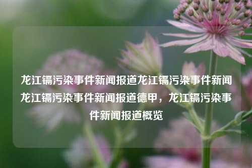 龙江镉污染事件新闻报道龙江镉污染事件新闻龙江镉污染事件新闻报道德甲，龙江镉污染事件新闻报道概览，龙江镉污染事件新闻报道概览