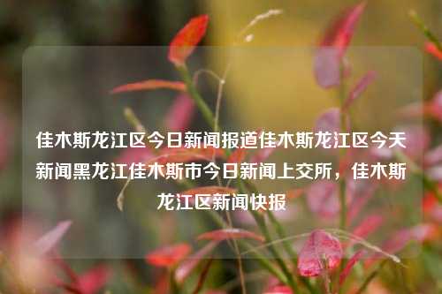 佳木斯龙江区今日新闻报道佳木斯龙江区今天新闻黑龙江佳木斯市今日新闻上交所，佳木斯龙江区新闻快报，佳木斯龙江区新闻快报，今日新闻报道及上交所动态