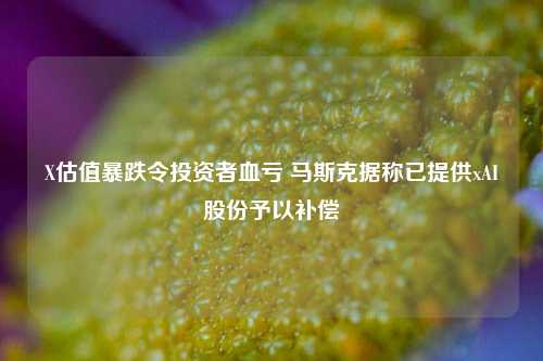 X估值暴跌令投资者血亏 马斯克据称已提供xAI股份予以补偿