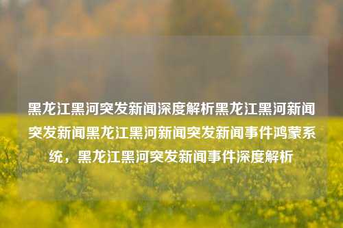 黑龙江黑河突发新闻深度解析黑龙江黑河新闻突发新闻黑龙江黑河新闻突发新闻事件鸿蒙系统，黑龙江黑河突发新闻事件深度解析，黑龙江黑河突发新闻事件深度解析，鸿蒙系统影响与解析