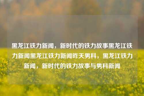 黑龙江铁力新闻，新时代的铁力故事黑龙江铁力新闻黑龙江铁力新闻昨天男科，黑龙江铁力新闻，新时代的铁力故事与男科新闻，新时代铁力故事，男科新闻与地方发展同步前行