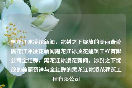 黑龙江冰凌花新闻，冰封之下绽放的美丽奇迹黑龙江冰凌花新闻黑龙江冰凌花建筑工程有限公司全红婵，黑龙江冰凌花新闻，冰封之下绽放的美丽奇迹与全红婵的黑龙江冰凌花建筑工程有限公司，黑龙江冰凌花新闻，冰封之下绽放的美丽奇迹与全红婵的建筑力量