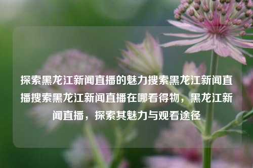 探索黑龙江新闻直播的魅力搜索黑龙江新闻直播搜索黑龙江新闻直播在哪看得物，黑龙江新闻直播，探索其魅力与观看途径，探索黑龙江新闻直播的魅力，观看途径与体验分享