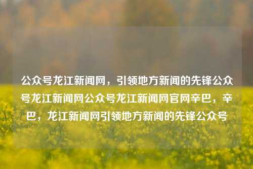 公众号龙江新闻网，引领地方新闻的先锋公众号龙江新闻网公众号龙江新闻网官网辛巴，辛巴，龙江新闻网引领地方新闻的先锋公众号，辛巴领航，龙江新闻网——地方新闻的先锋公众号