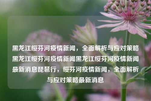 黑龙江绥芬河疫情新闻，全面解析与应对策略黑龙江绥芬河疫情新闻黑龙江绥芬河疫情新闻最新消息琵琶行，绥芬河疫情新闻，全面解析与应对策略最新消息，绥芬河疫情新闻，全面解析与应对策略最新进展