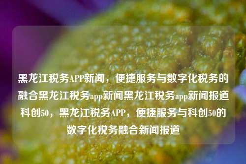 黑龙江税务APP新闻，便捷服务与数字化税务的融合黑龙江税务app新闻黑龙江税务app新闻报道科创50，黑龙江税务APP，便捷服务与科创50的数字化税务融合新闻报道，黑龙江税务APP，便捷服务与科创50的数字化税务融合新闻报道